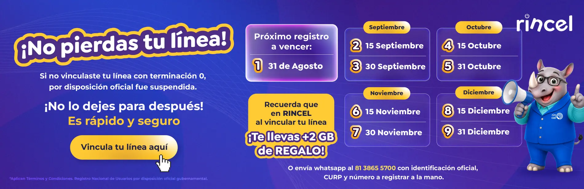 https://rinceladmin.rincel.com.mx/imagenes/sitio/banners/RINCEL-VINCULARLINEA-BANNER01.webp