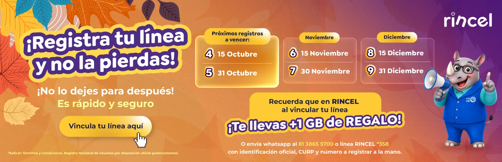 https://rinceladmin.rincel.com.mx/imagenes/sitio/banners/RINCEL-VINCULARLINEA-BANNEROCT-01.webp