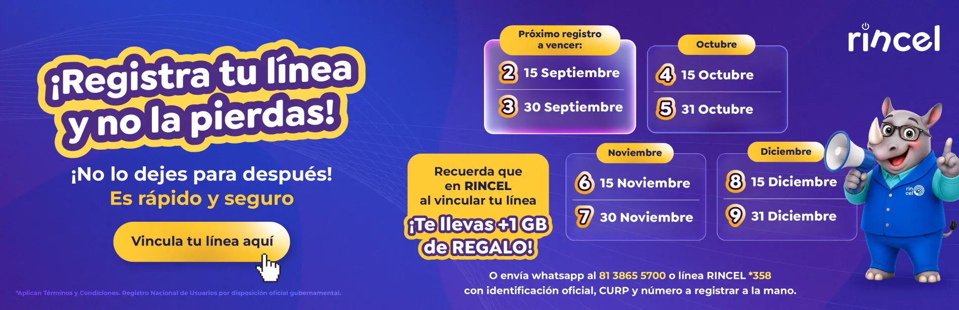 https://rinceladmin.rincel.com.mx/imagenes/sitio/banners/RINCEL-VINCULARLINEA-BANNERSEPT-01.webp